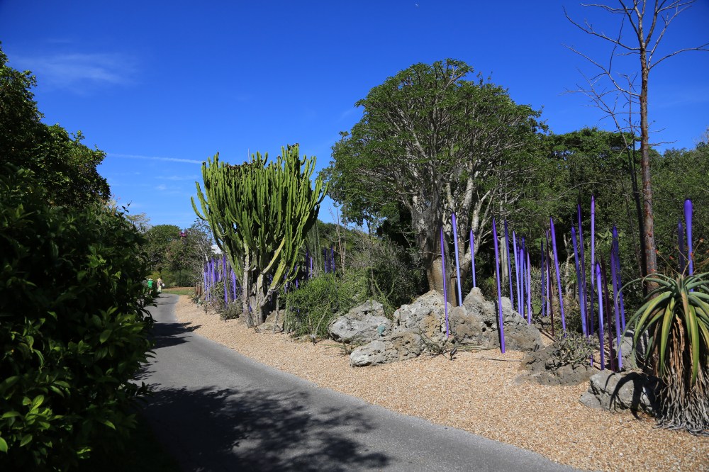 The Chihula glass blends right into the scene as if it belongs there. 