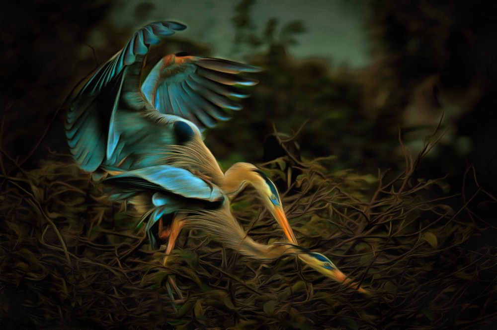 Day-4B_Heron_Love Reward for a good stick